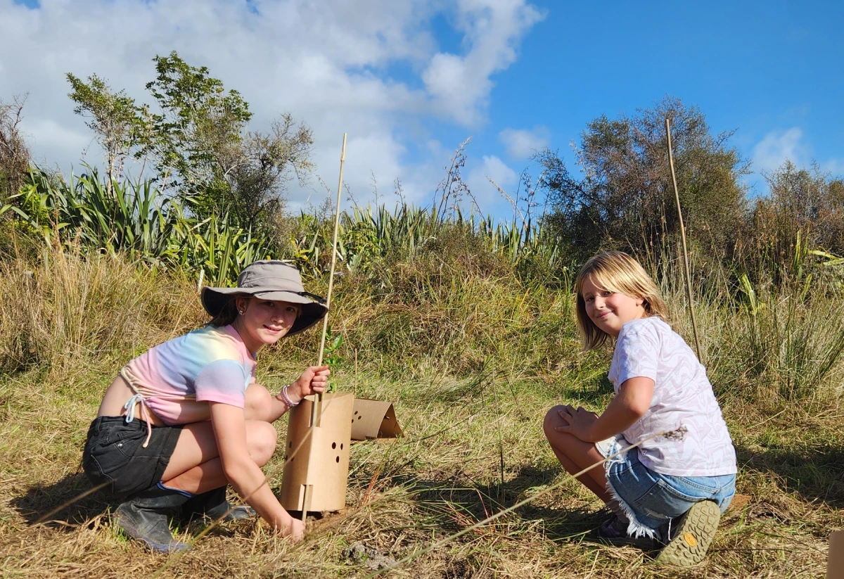 Kukuwai Project Knect planting