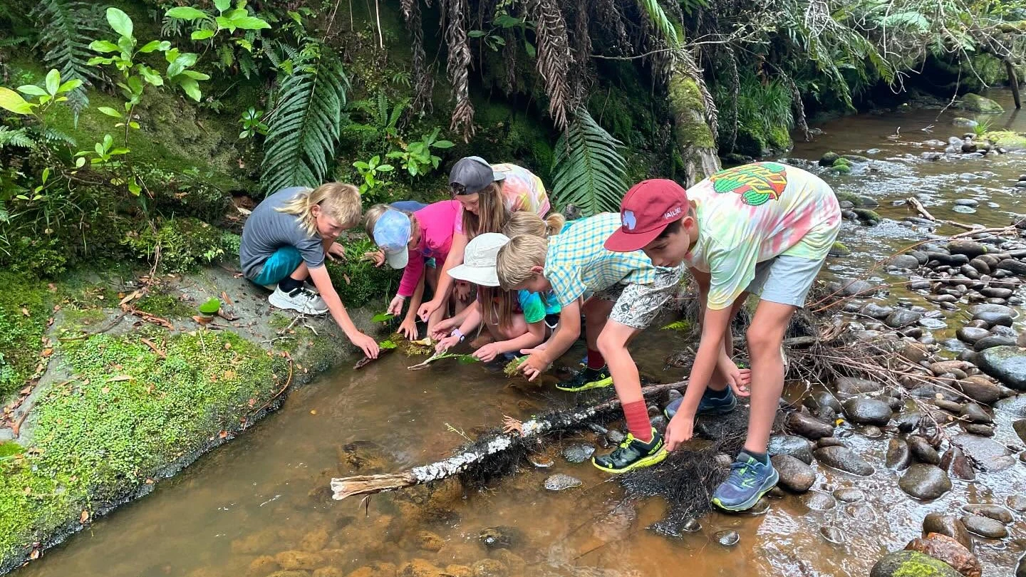 Nurture School leaning in the river