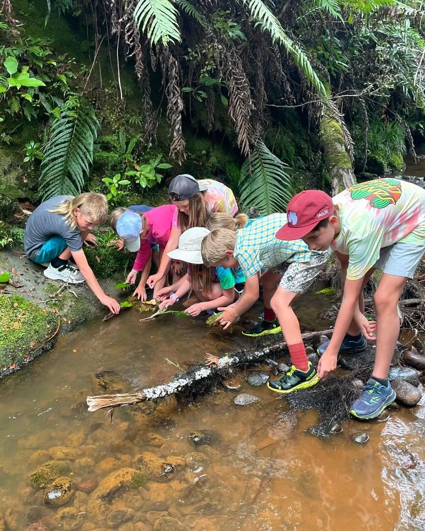 Nurture School leaning in the river